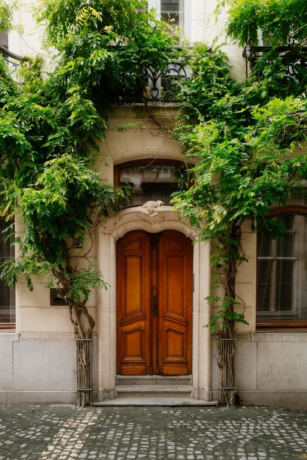 Una puerta de madera antigua rodeada de plantas